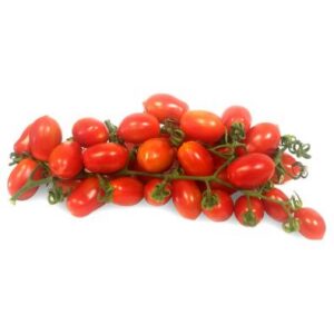 TOMAQUET XERRI (CHERRY) - KG
